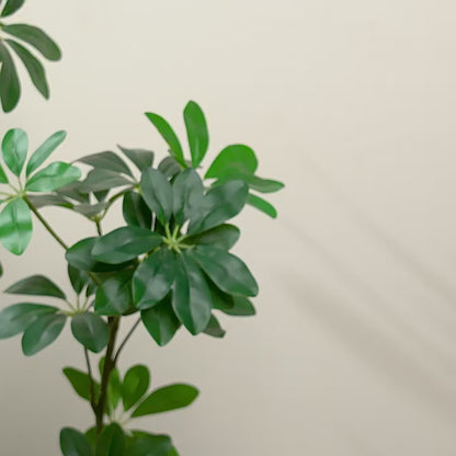 🍵✨ Houten Theeservies voor Kinderen – Pret & Rollenspel 🧸🌸